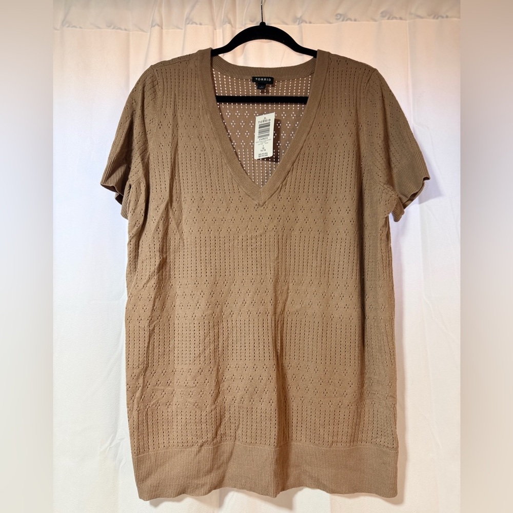 Torrid Taupe Gray V-Neck Sweater